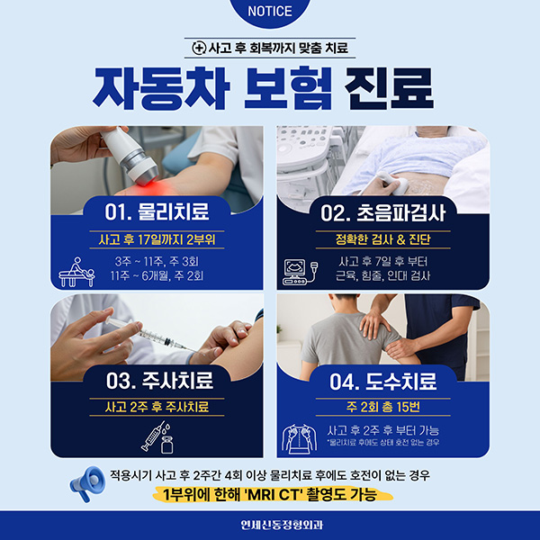 자동차보험안내